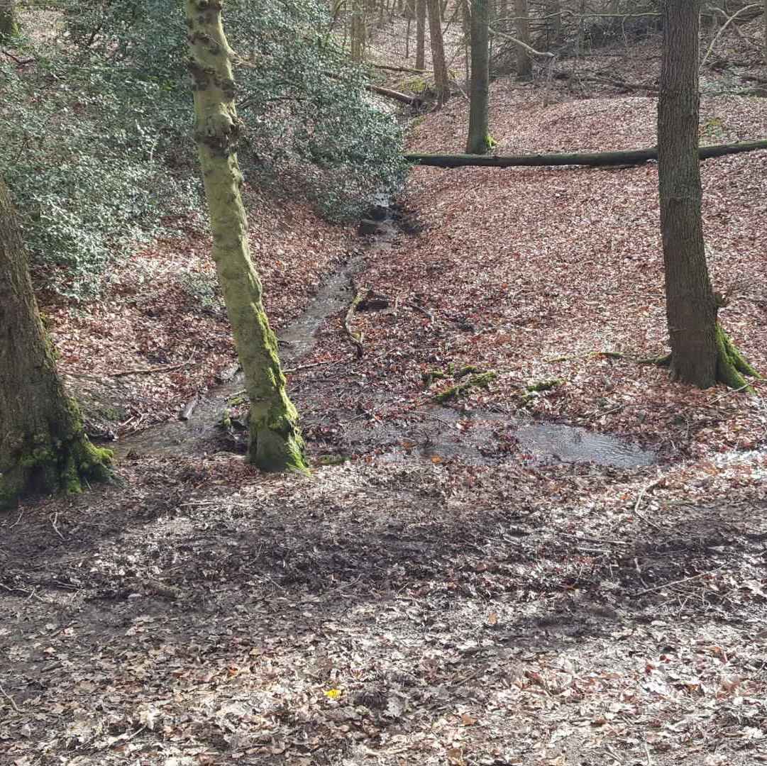 Exkursion zur Emscherquelle in Holzwickede